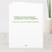 Tiertiere jubeln oben Gruß-Karte zu Karte (Rückseite)