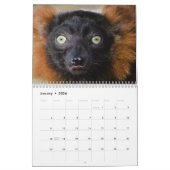 Tiertiere Wildtiere Liebe Destiny's Kalender (Jan 2026)