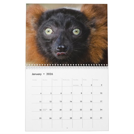 Tiertiere Wildtiere Liebe Destiny's Kalender (Jan 2026)