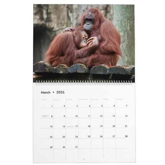 Tierumarmung Kalender (Mär 2026)