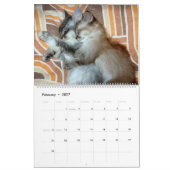 Tierumarmung Kalender (Feb 2027)