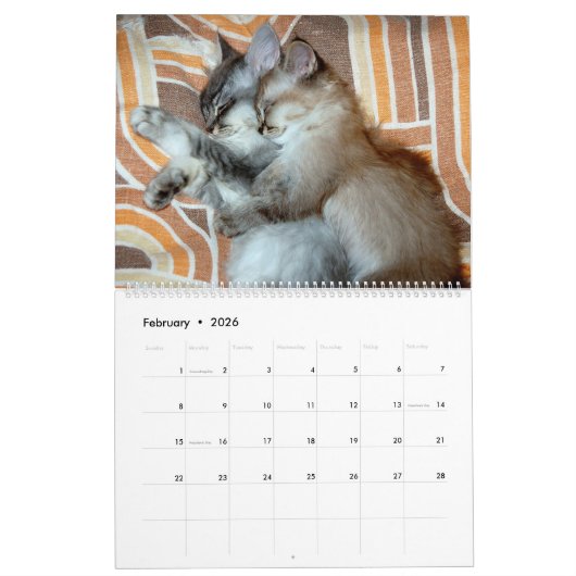 Tierumarmung Kalender (Feb 2026)