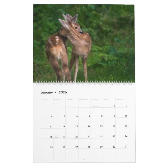 Tierumarmung Kalender (Jan 2026)