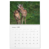 Tierumarmung Kalender (Jan 2027)