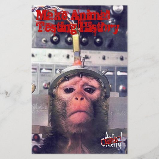 Tierversuche am Ende Flyer (Vorne)