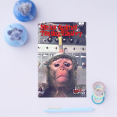 Tierversuche am Ende Flyer (Einzeln)