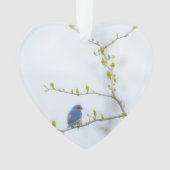 Tiervogel-Ostdrossel Ornament (Vorderseite)