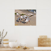 Tiervogel Schwarzkopfmöwe am Strand Poster (Küche)