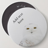 Tiervogelsnowy-Eule, die mich betrachtet Button (Vorne & Hinten)