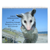 Tierwandkalender botschafter-2011 kalender (Titelbild)