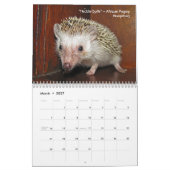 Tierwandkalender botschafter-2011 kalender (Mär 2027)