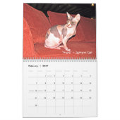 Tierwandkalender botschafter-2011 kalender (Feb 2027)