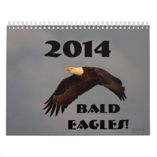 TierWandkalender-Weißkopfseeadler 2014 Kalender