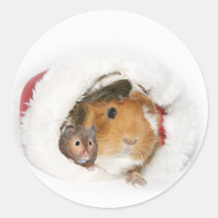 Tierweihnachtsaufkleber Runder Aufkleber