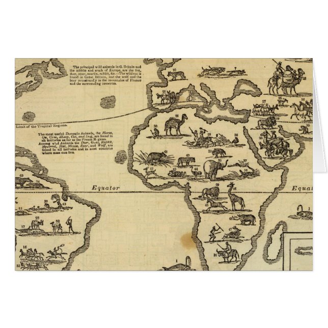 Tierwelt (Vorderseite (Horizontal))