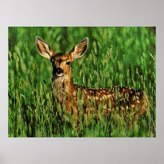 Tierwelt 11 gesprungen poster (Vorne)