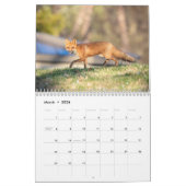 Tierwelt 2026 kalender (Mär 2026)