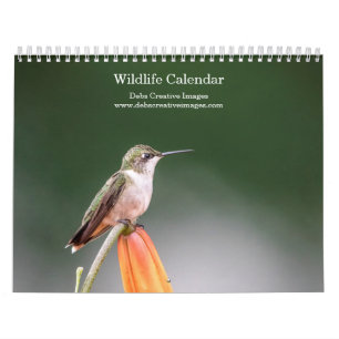 Tierwelt 2026 kalender
