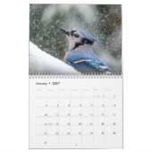 Tierwelt 2026 kalender (Jan 2027)