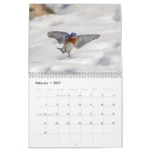Tierwelt 2026 kalender (Feb 2027)