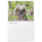 Tierwelt 2026 kalender (Feb 2026)