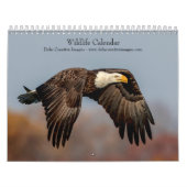 Tierwelt 2026 kalender (Titelbild)