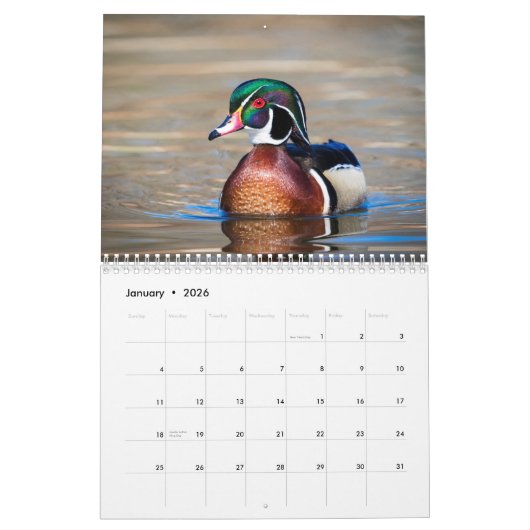 Tierwelt 2026 kalender (Jan 2026)