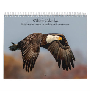 Tierwelt 2026 kalender