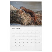 Tierwelt 2026 kalender (Mär 2026)