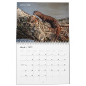 Tierwelt 2026 kalender (Mär 2027)