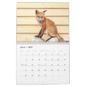 Tierwelt 2026 kalender (Mär 2027)