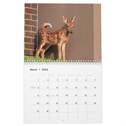 Tierwelt 2026 kalender (Mär 2026)