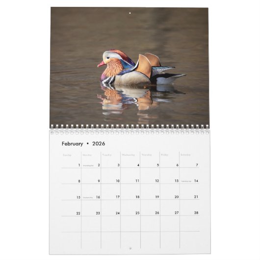 Tierwelt 2026 kalender (Feb 2026)