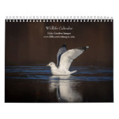 Tierwelt 2026 kalender (Titelbild)