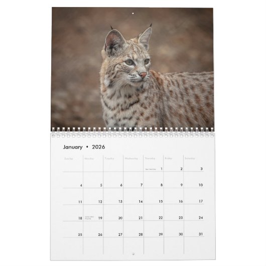 Tierwelt 2026 kalender (Jan 2026)