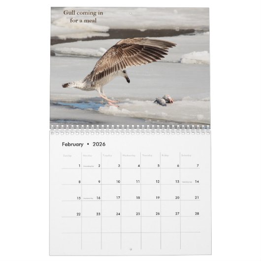 Tierwelt im Hudson Valley 2026 Kalender (Feb 2026)