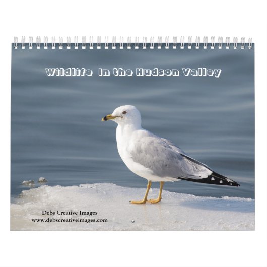 Tierwelt im Hudson Valley 2026 Kalender (Titelbild)