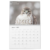 Tierwelt im Hudson Valley 2026 Kalender (Mär 2027)