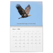 Tierwelt im Kalender der Adirondacks 2026 (Mär 2026)