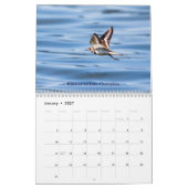 Tierwelt im Kalender der Adirondacks 2026 (Jan 2027)