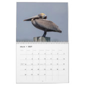 Tierwelt im Südwesten Floridas 2026 Kalender (Mär 2027)