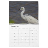 Tierwelt im Südwesten Floridas 2026 Kalender (Jan 2027)