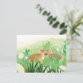 Tierwelt in Großgras Feiertagspostkarte (Stehend Vorderseite)