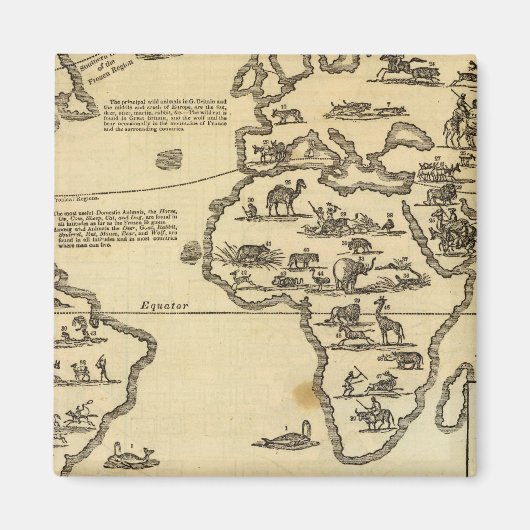 Tierwelt Magnet (Vorne)