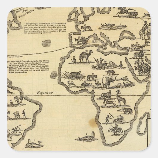 Tierwelt Quadratischer Aufkleber (Vorderseite)