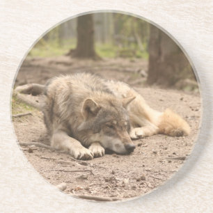 Tierwolf-FriedensLiebe-wilde Land-Natur Getränkeuntersetzer