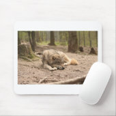 Tierwolf-FriedensLiebe-wilde Land-Natur Mousepad (Mit Mouse)