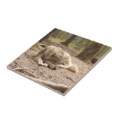 Tierwolf - Liebe Wildland Fliese (Seite)