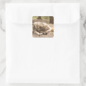 Tierwolf - Liebe Wildland Quadratischer Aufkleber (Tasche)