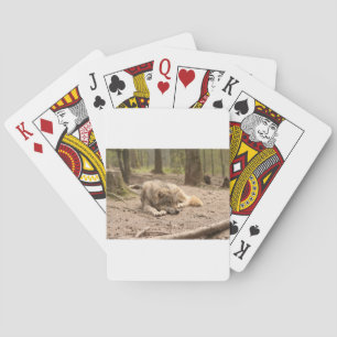 Tierwolf - Liebe Wildland Spielkarten